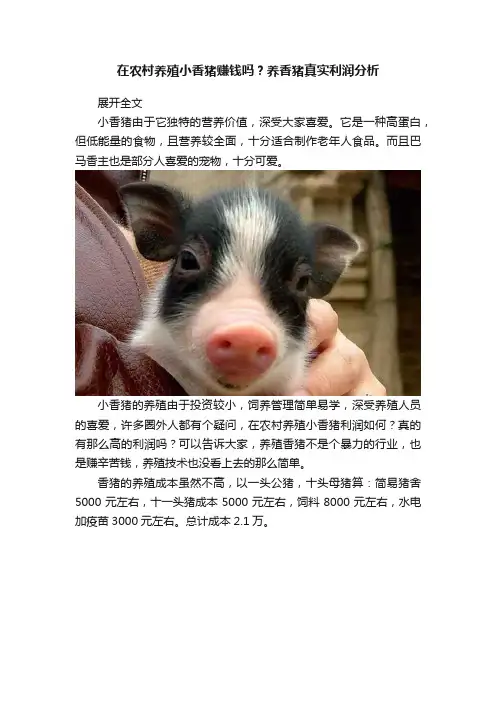 在农村养殖小香猪赚钱吗？养香猪真实利润分析