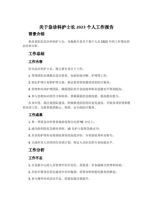 关于急诊科护士长2023个人工作报告