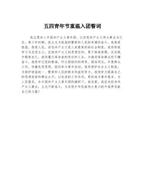五四青年节重温入团誓词