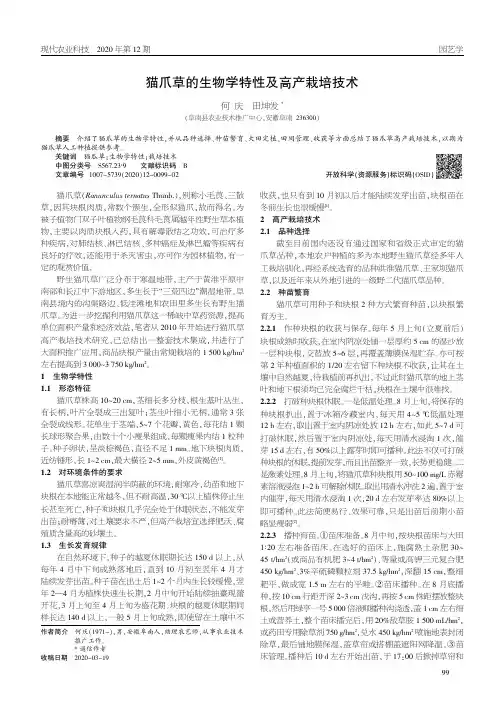 猫爪草的生物学特性及高产栽培技术