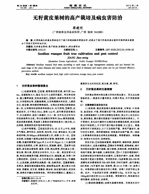 无籽黄皮果树的高产栽培及病虫害防治