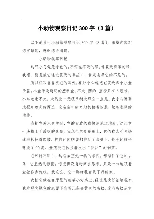 小动物观察日记300字(3篇)