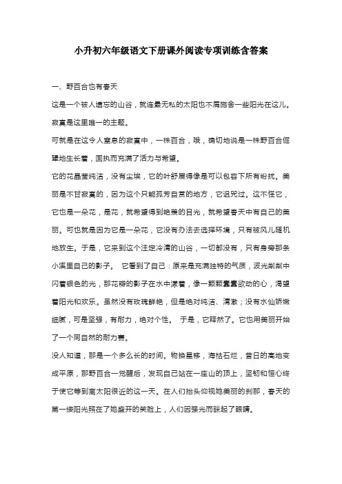 通用小升初六年级语文下册课外阅读专项训练含答案