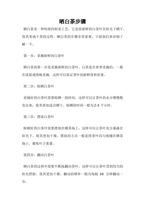 晒白茶步骤