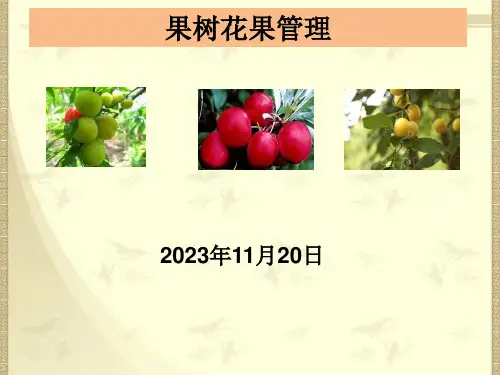 果树花果管理与病虫害防治技术