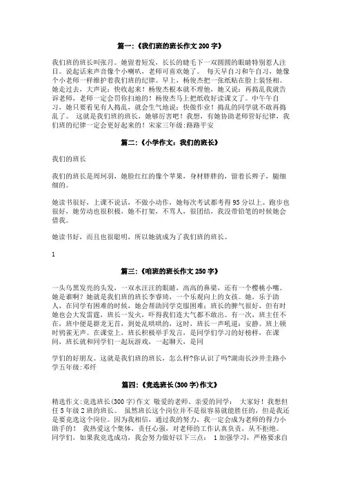 我们班的班长300字作文