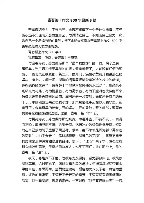 青春路上作文800字最新5篇