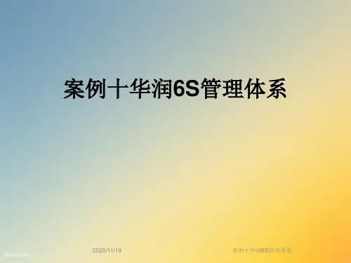 案例十华润6S管理体系