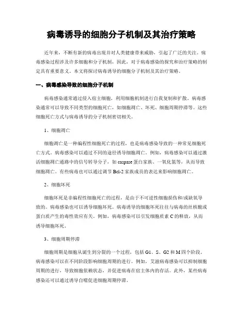 病毒诱导的细胞分子机制及其治疗策略