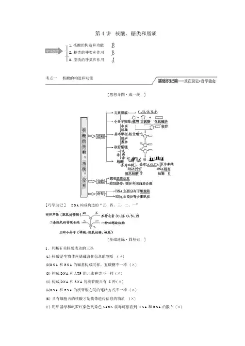 2020版高考生物一轮复习第一单元第4讲核酸、糖类和脂质讲义