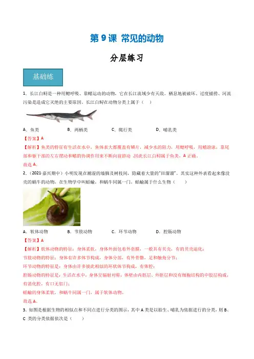 第09讲 《常见的动物》(分层练习)-2024-2025学年七年级科学上册同步精品课堂(浙教版)