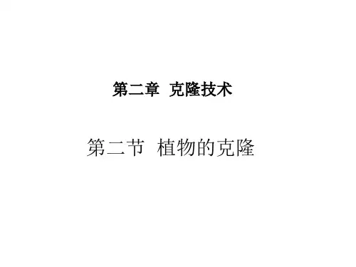植物的克隆