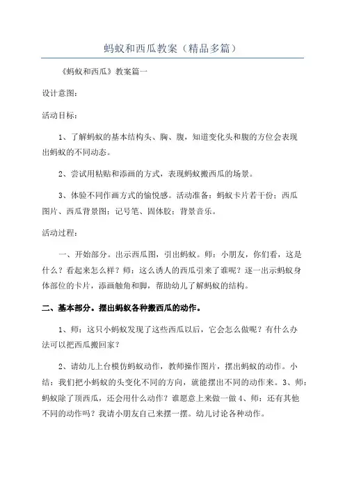 蚂蚁和西瓜教案(精品多篇)