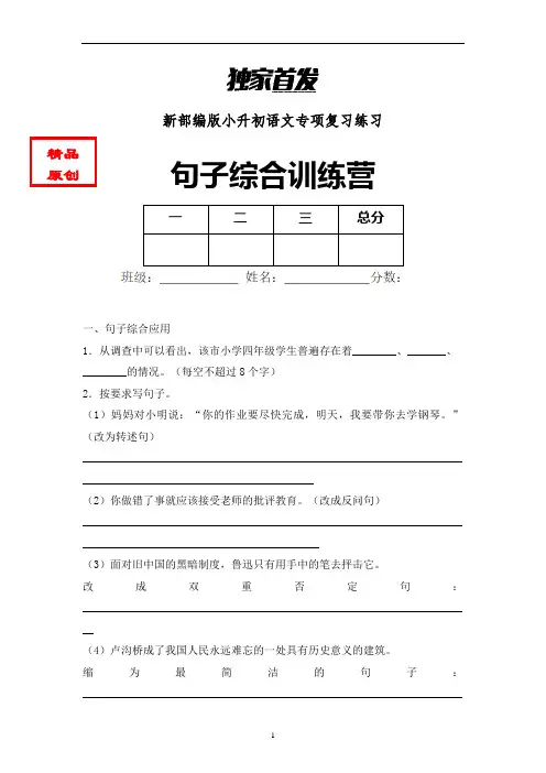 小升初语文句子综合训练专项练习含答案 (5)