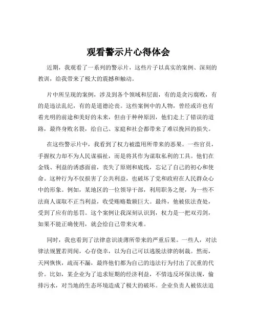 观看警示片心得体会