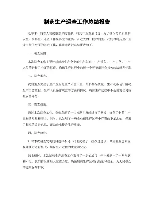 制药生产巡查工作总结报告