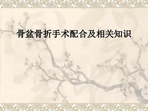 骨盆骨折手术配合及相关知识ppt课件