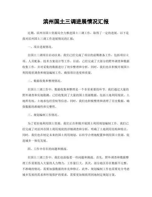 滨州国土三调进展情况汇报