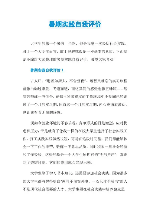 暑期实践自我评价