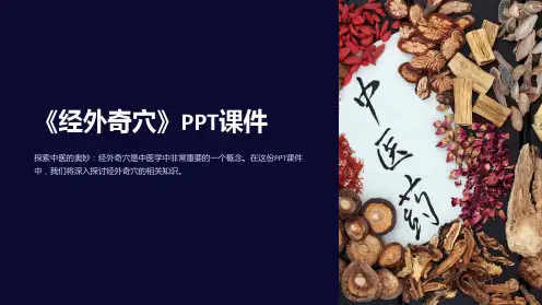 《经外奇穴》课件
