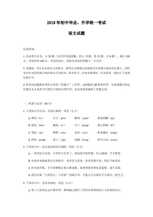 2019年初中毕业生学业水平考试试卷语文(含答案) (47)
