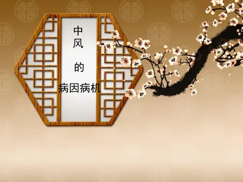 中风病因病机.ppt
