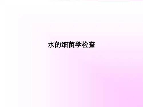 水的细菌学检查