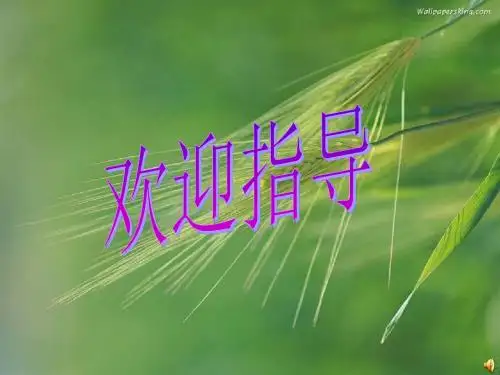 七年级政治上册第四课《感悟青春》课件人教版