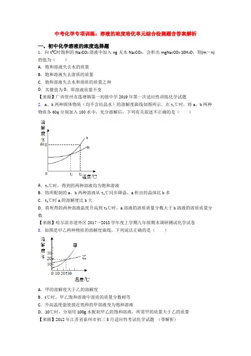 中考化学专项训练：溶液的浓度培优单元综合检测题含答案解析