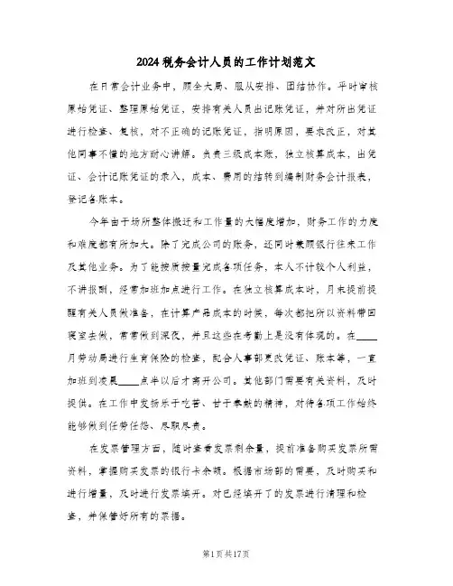 2024税务会计人员的工作计划范文（3篇）