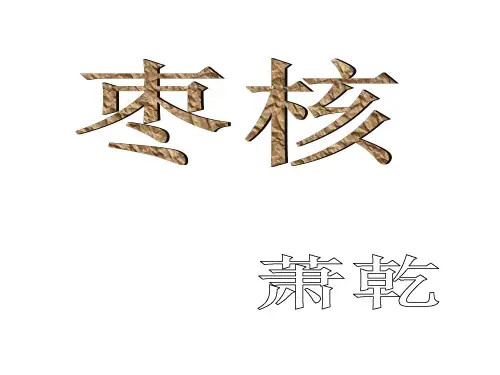 枣核讲课