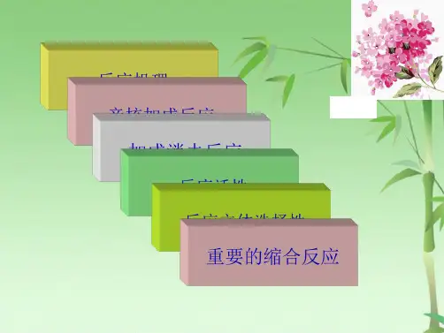 第 六章羰基化合物的反应(共137张PPT)