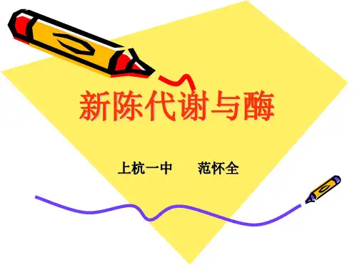 新陈代谢与酶课件高中生物教学课件课件