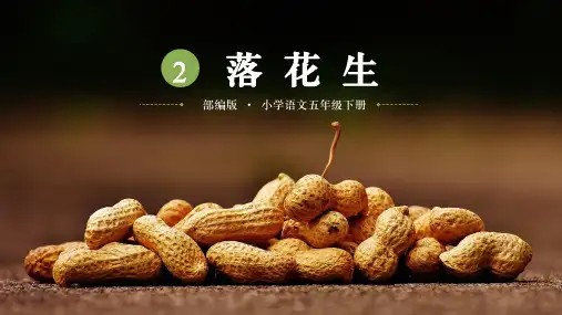 五年级上册落花生教学说课课件(共31张PPT)
