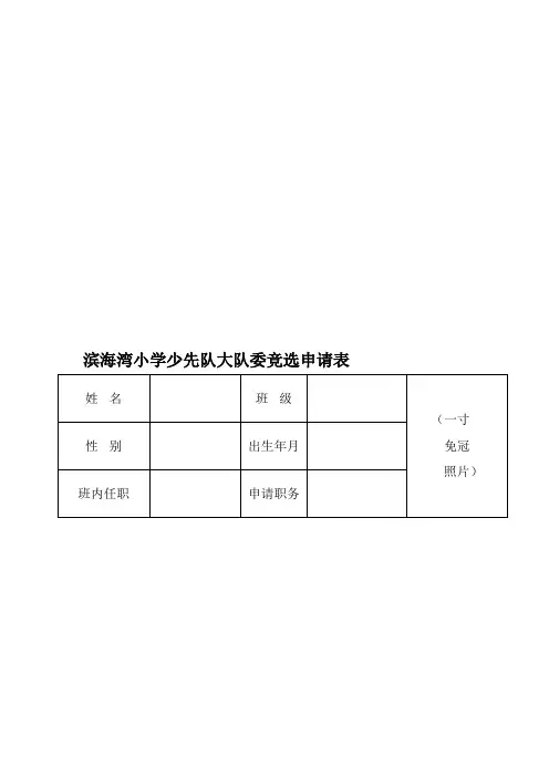 大队委竞选申请表