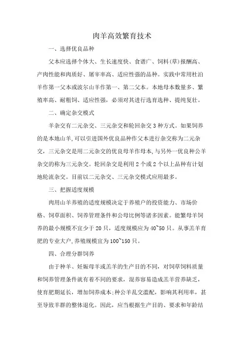 肉羊高效繁育技术