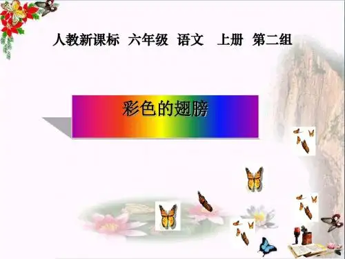 六年级语文上册第7课彩色的翅膀课件新人教版