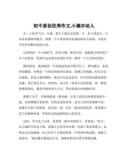 初中原创优秀作文,小满亦动人