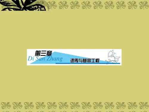 大纲版高三生物一轮复习课件遗传和基因工程