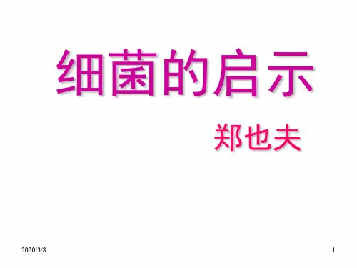 《细菌的启示》课件8-优质公开课-精品