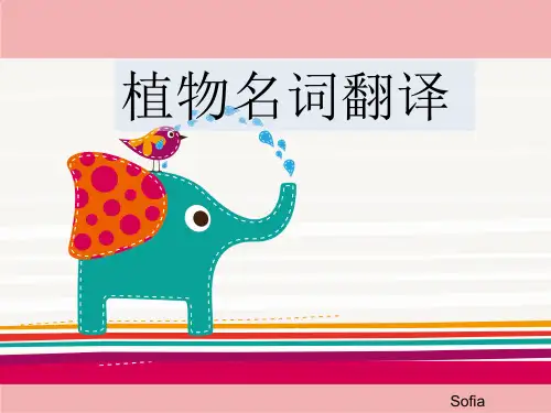 植物名词翻译及技巧