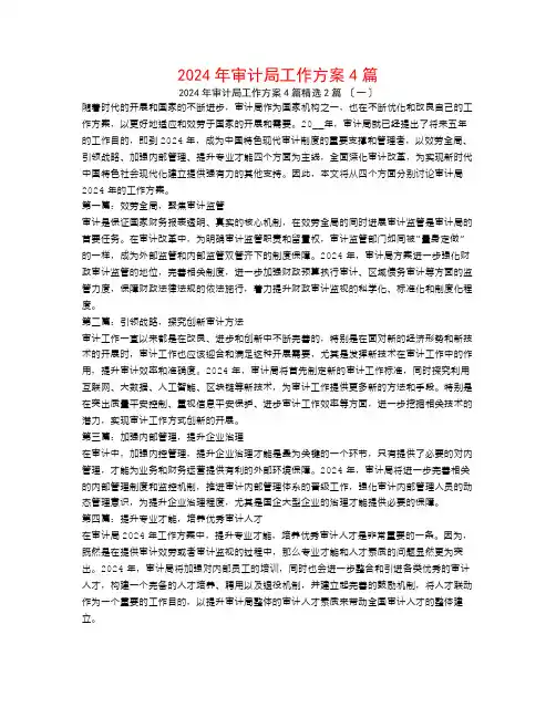 2024年审计局工作计划4篇2篇