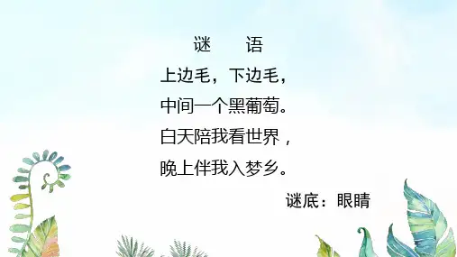 《大眼睛》基于标准的教学课件