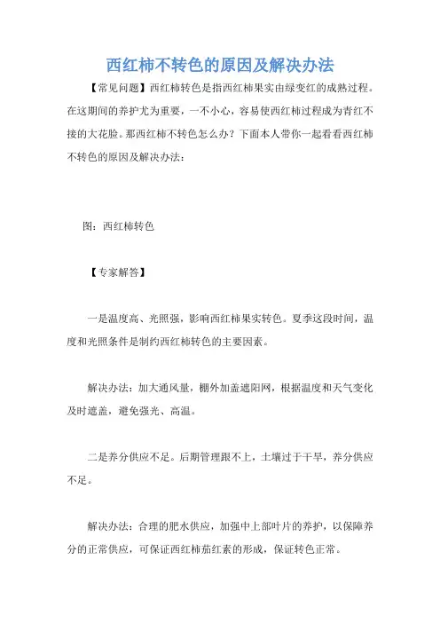 西红柿不转色的原因及解决办法