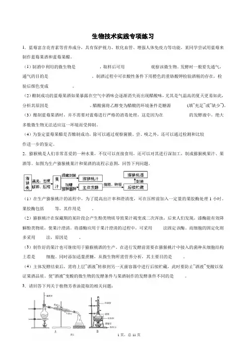 生物技术实践专项练习