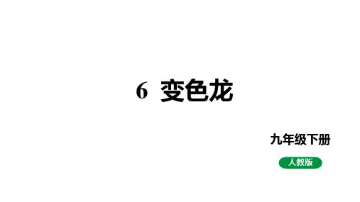 《变色龙》ppt课件