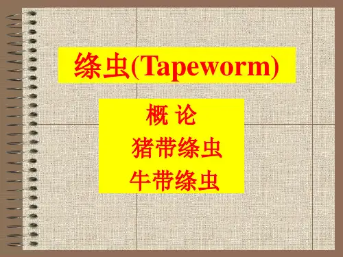 猪带绦虫