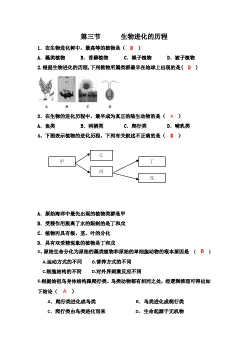 济南版八年级下册生物第一章第三节生物进化的历程(练习题及答案)