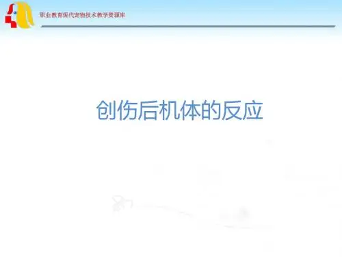 创伤后机体的反应解析