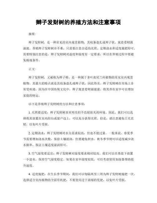 辫子发财树的养殖方法和注意事项